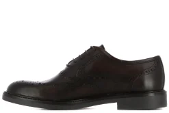 Bluchers AMARA | Casas Collection Online