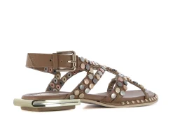 Sandalias planas SANDALO ASIMMETRICO | Cafe Noir New